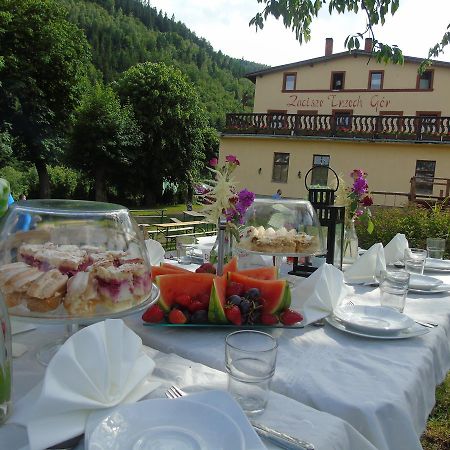 Zacisze Trzech Gor Villa Jedlina-Zdroj Exterior foto