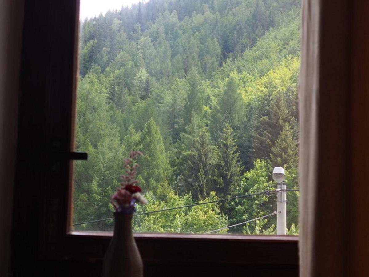Zacisze Trzech Gor Villa Jedlina-Zdroj Exterior foto