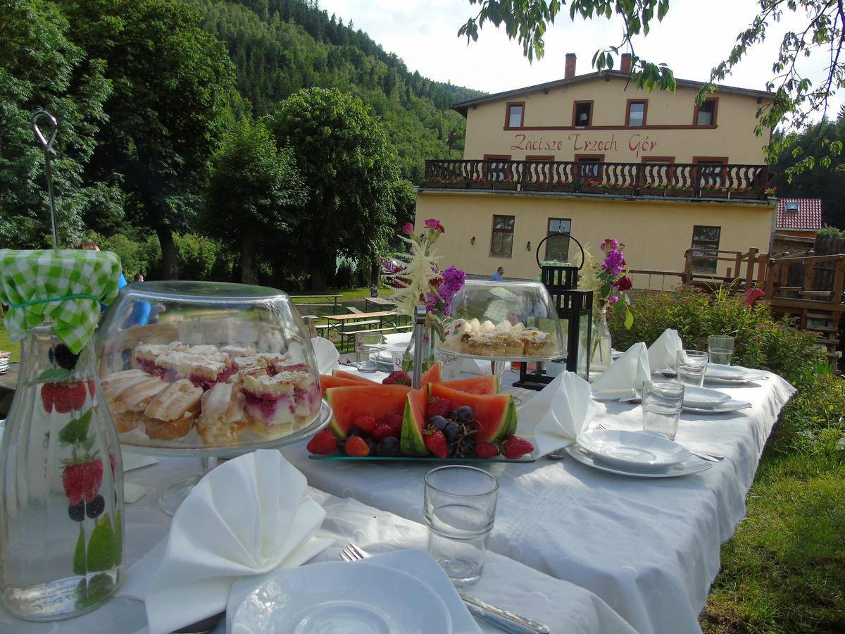 Zacisze Trzech Gor Villa Jedlina-Zdroj Exterior foto