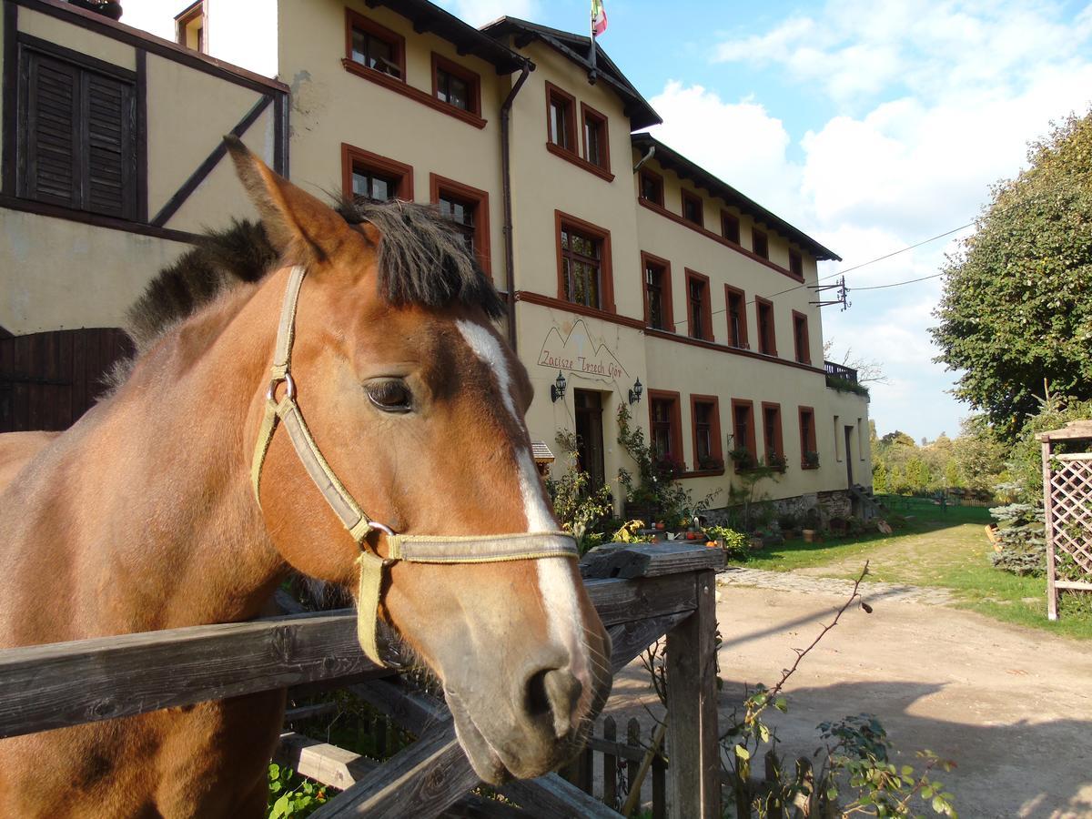 Zacisze Trzech Gor Villa Jedlina-Zdroj Exterior foto