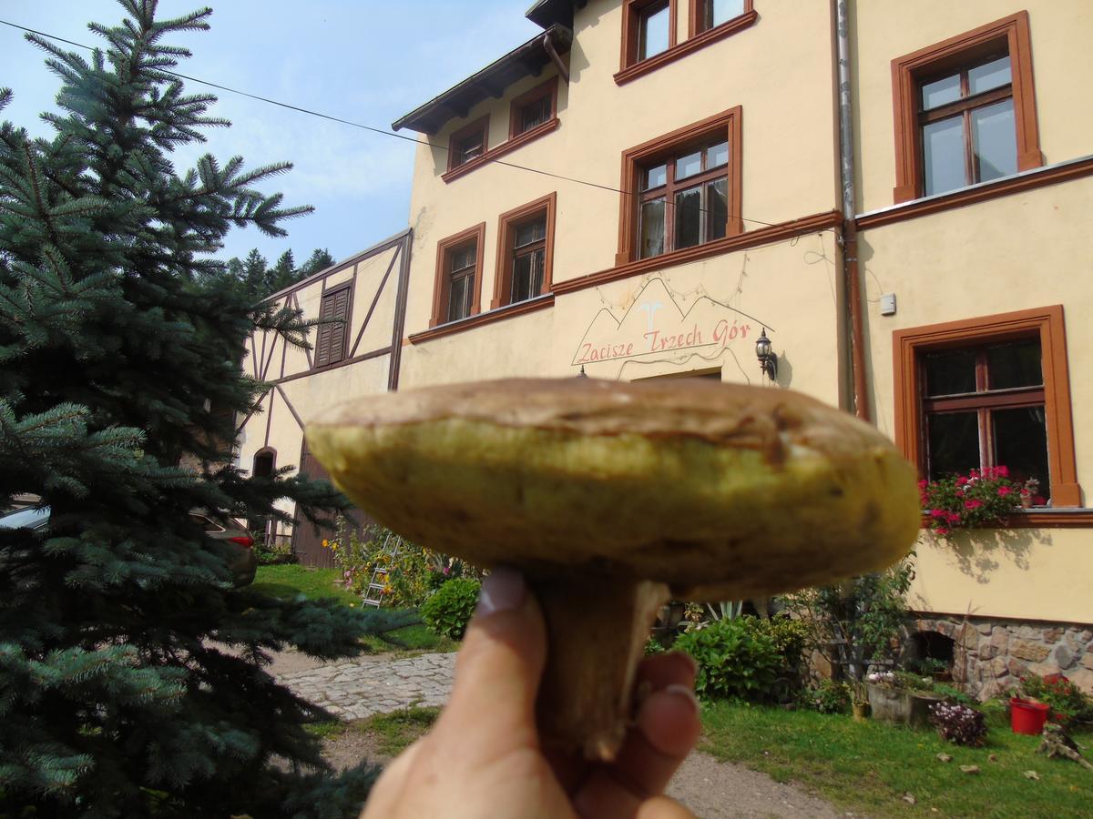Zacisze Trzech Gor Villa Jedlina-Zdroj Exterior foto
