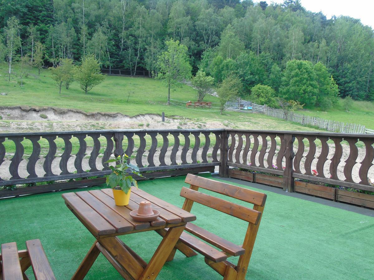 Zacisze Trzech Gor Villa Jedlina-Zdroj Exterior foto
