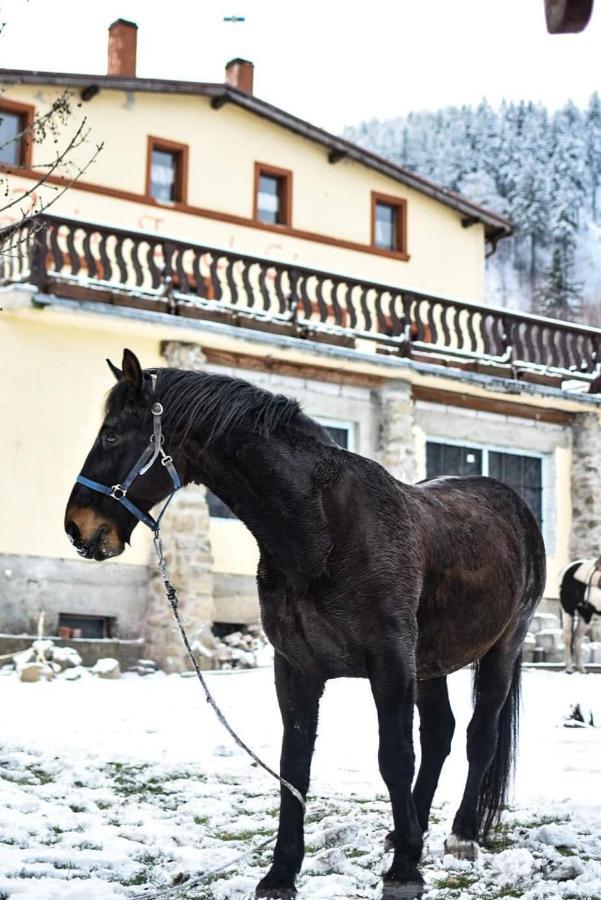 Zacisze Trzech Gor Villa Jedlina-Zdroj Exterior foto