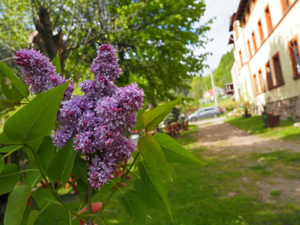 Zacisze Trzech Gor Villa Jedlina-Zdroj Exterior foto